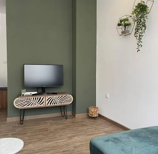 зелено студио * بورغاس