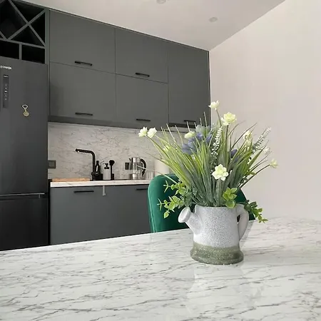 Appartement зелено студио *