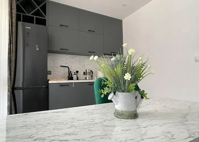 Apartman зелено студио *